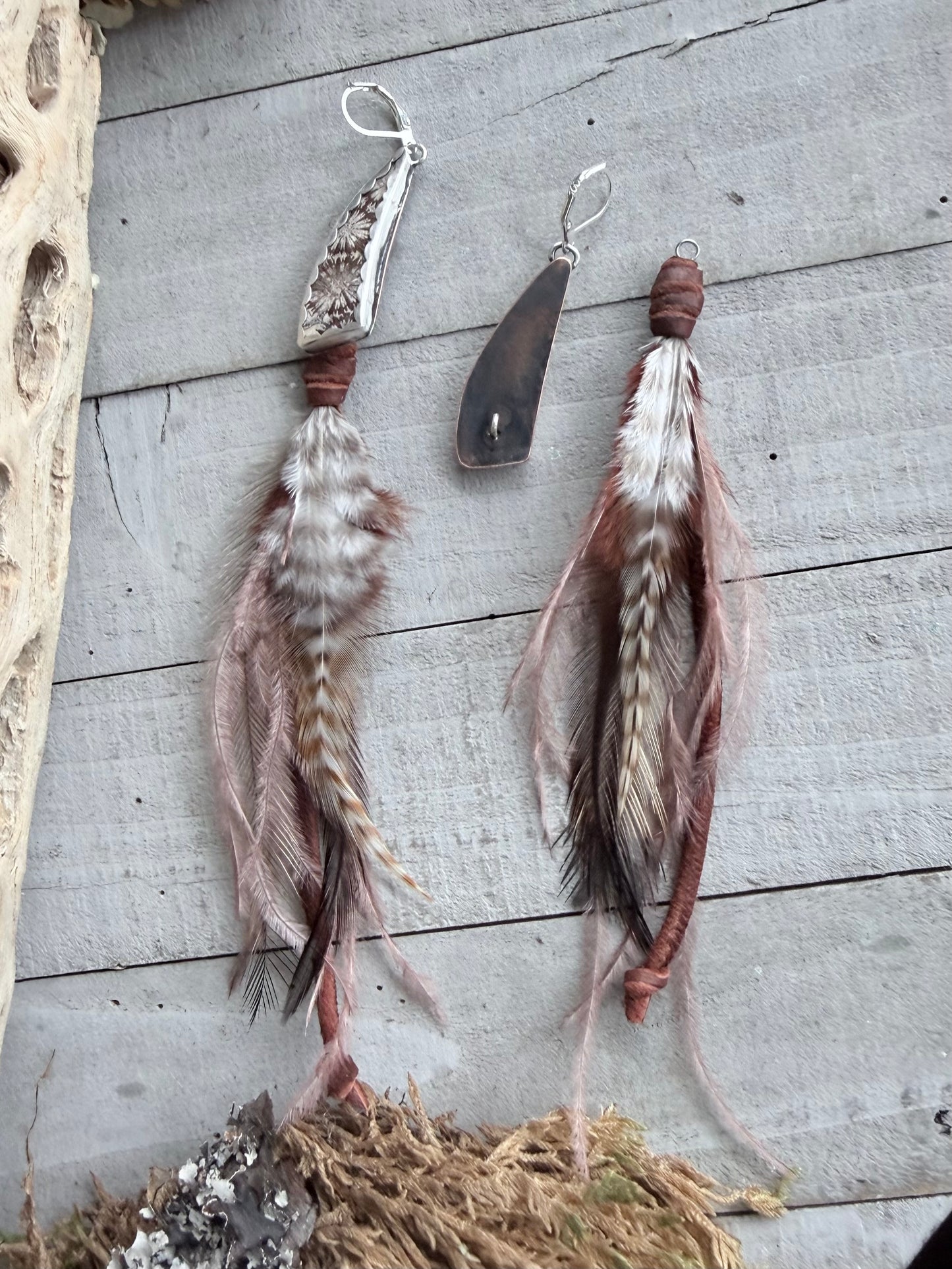 Fossil Coral Feather Earrings