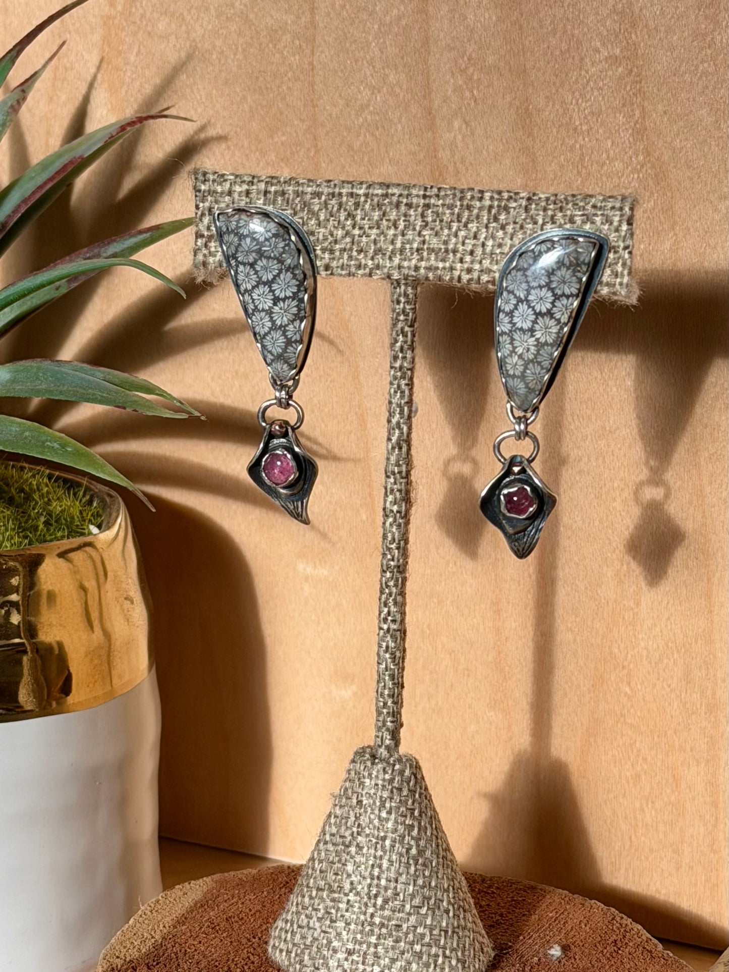 Fossilized Coral Stud Earrings