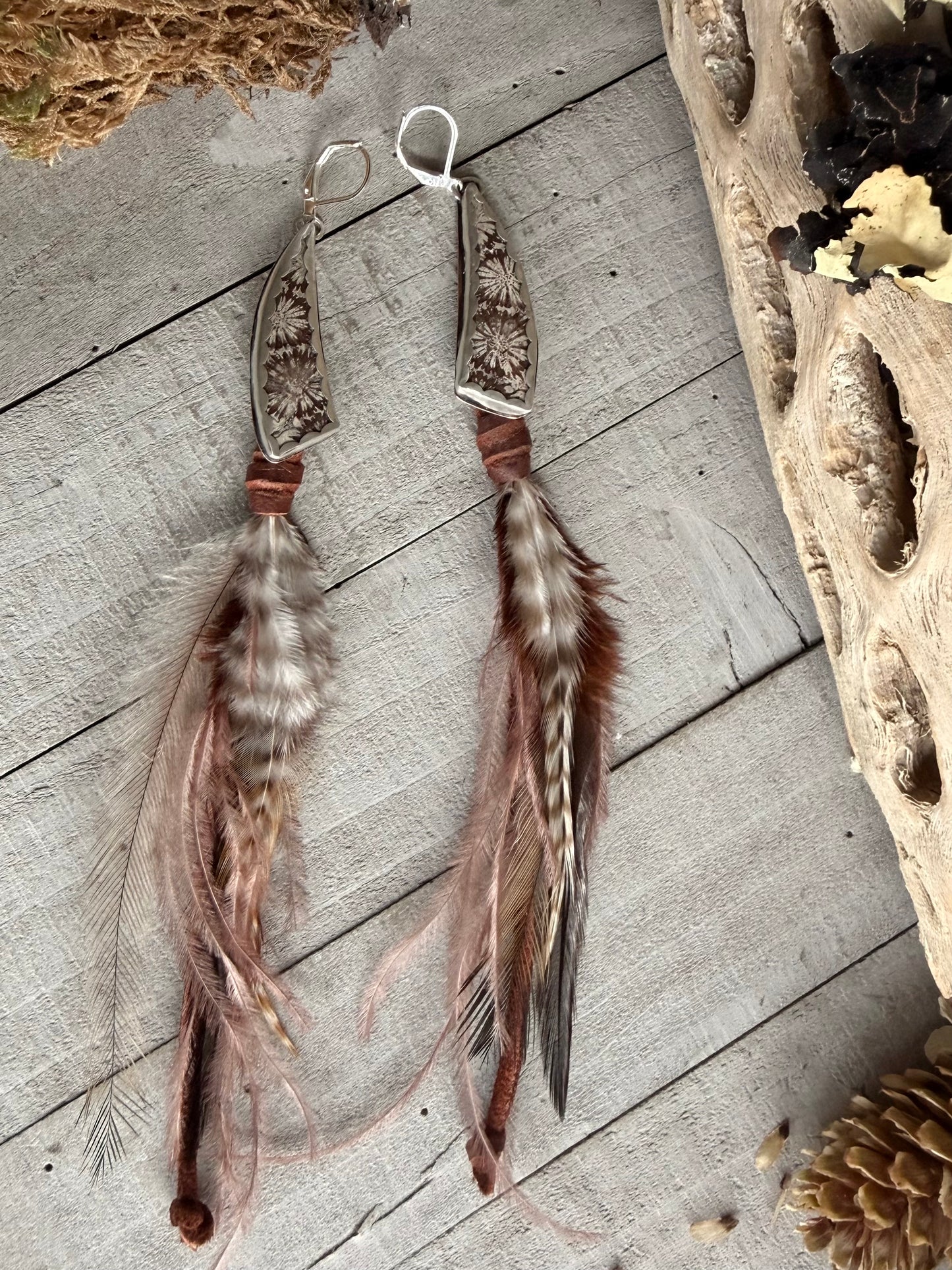 Fossil Coral Feather Earrings