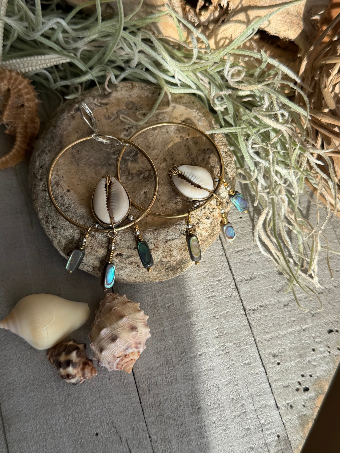 COWRIE SHELL HOOPS