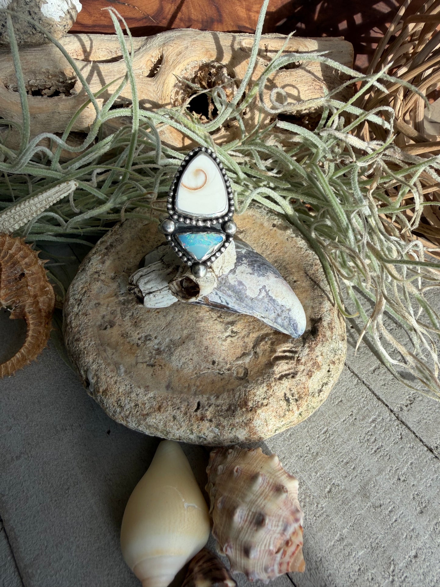 SEASHELL DAYDREAMING RING