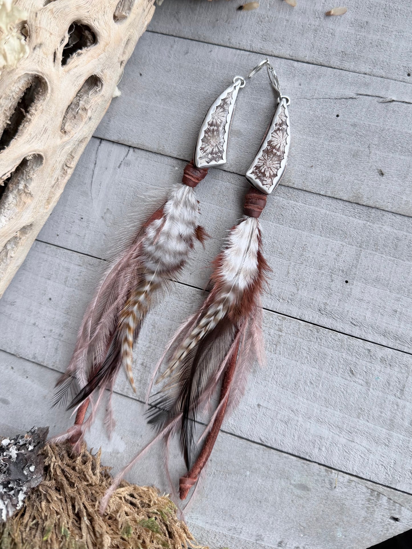 Fossil Coral Feather Earrings